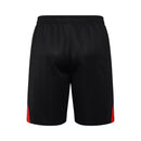 Kit de Treino adulto Bayern de Munique 2025/26 Shorts e Camiseta